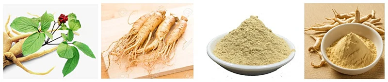 Saponin Ginsenoside.jpg